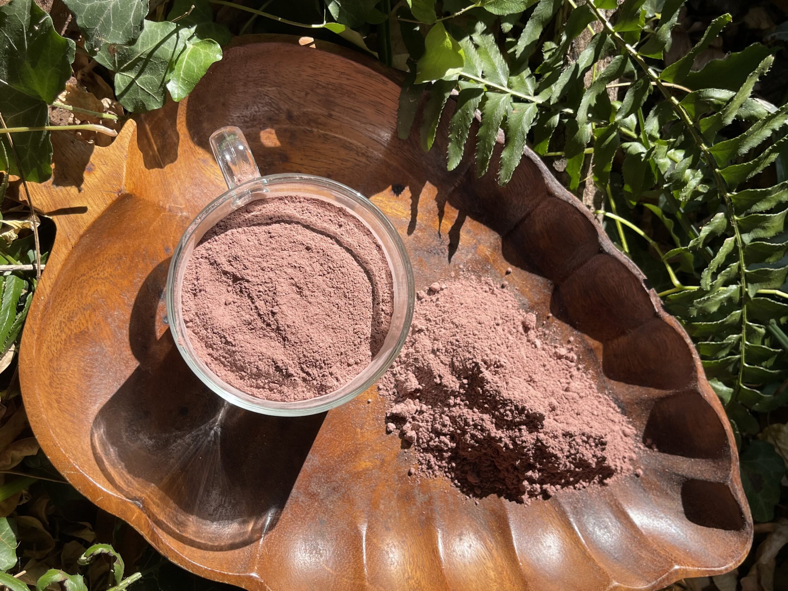 Mimosa Hostilis Root Bark Powder *Organic, Wild Harvested!* - Eternity in a Box Botanicals